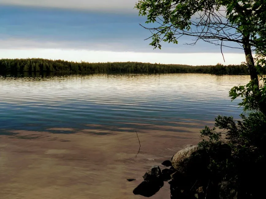 Minnesota — Minnesota lakes nature