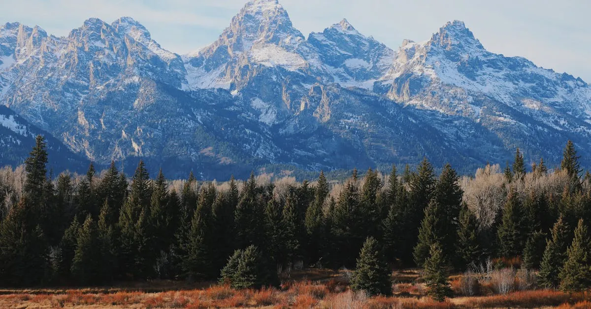How to Become a Notary in Wyoming: Step-by-Step Guide (2026)