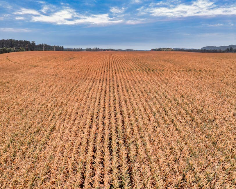 Wisconsin — Wisconsin dairy farmland