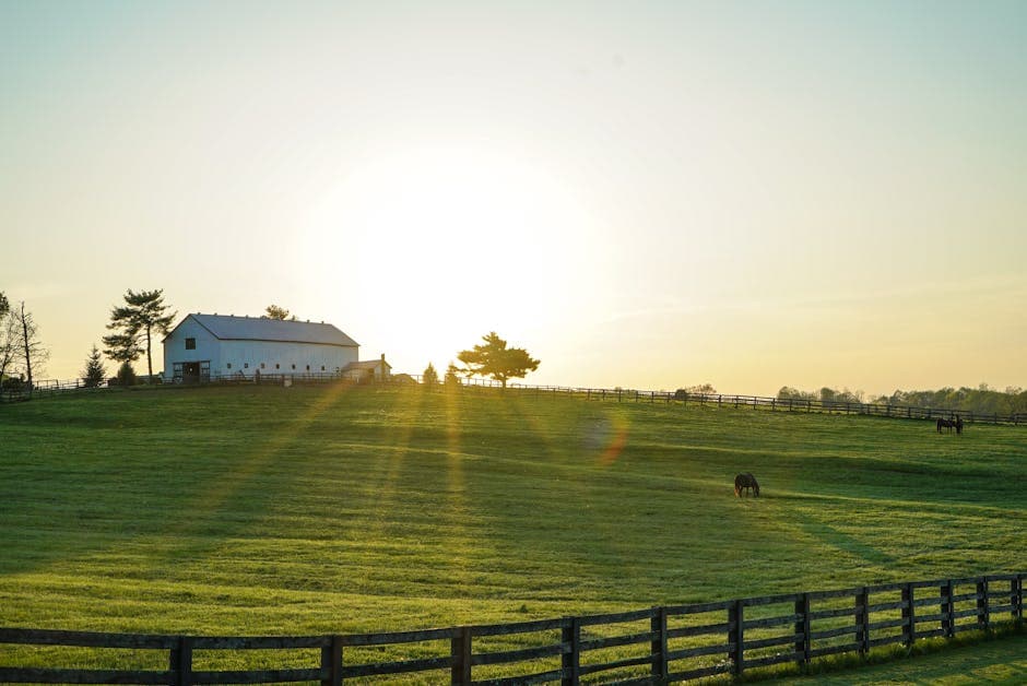 Kentucky — Kentucky horse farm