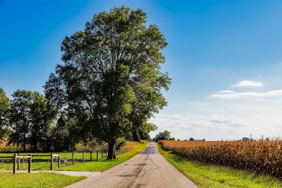 Indiana — Indiana farmland countryside
