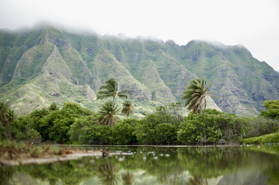 Hawaii — Hawaii tropical landscape