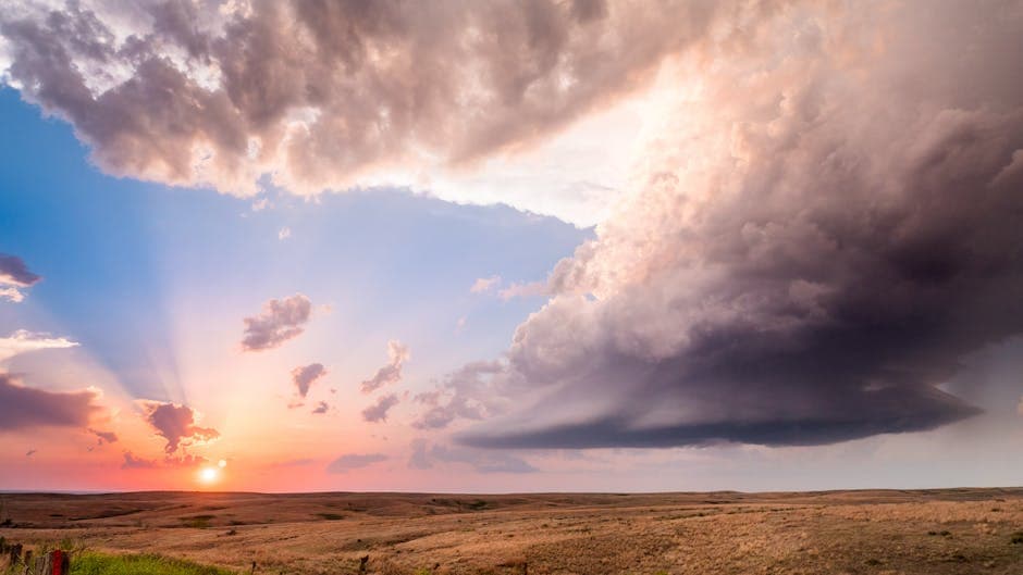 Kansas — Kansas wheat fields sunset