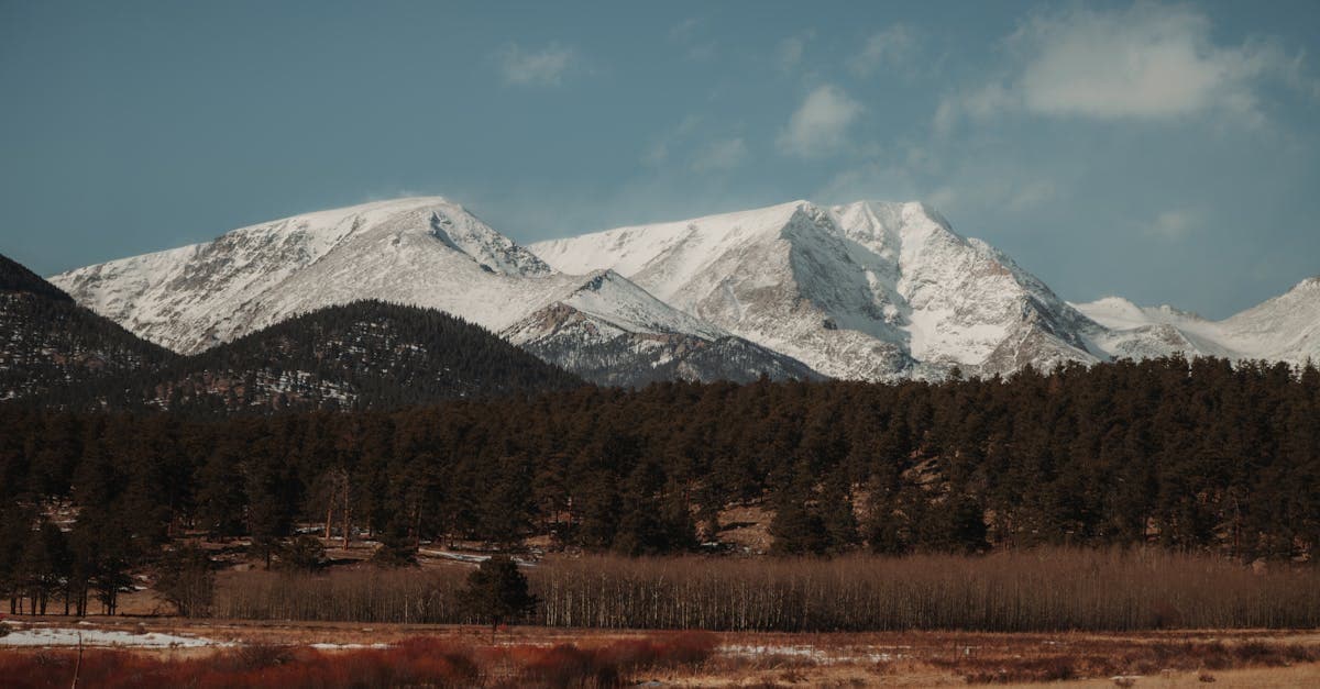 How to Become a Notary in Colorado: Step-by-Step Guide (2026)