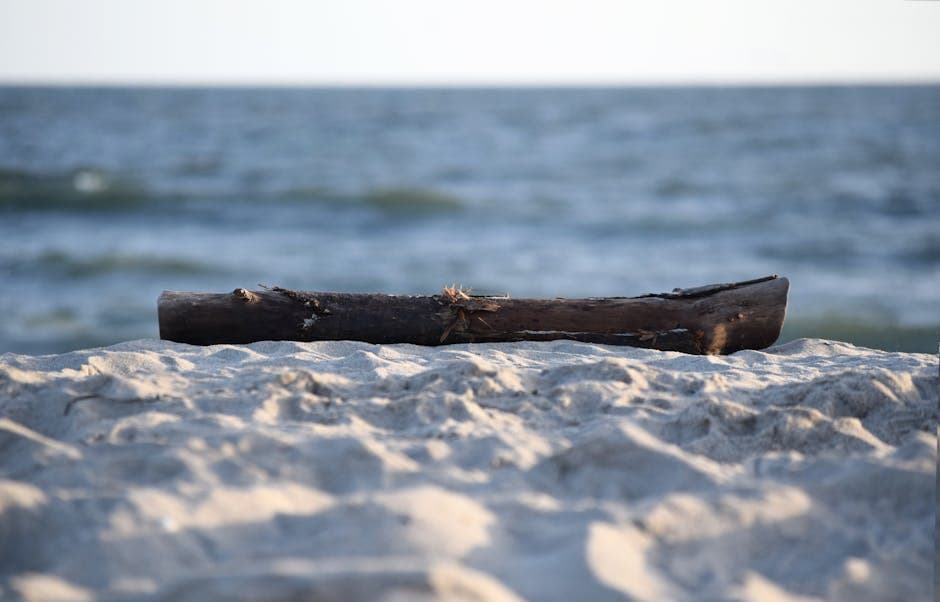 Delaware — Delaware beach ocean