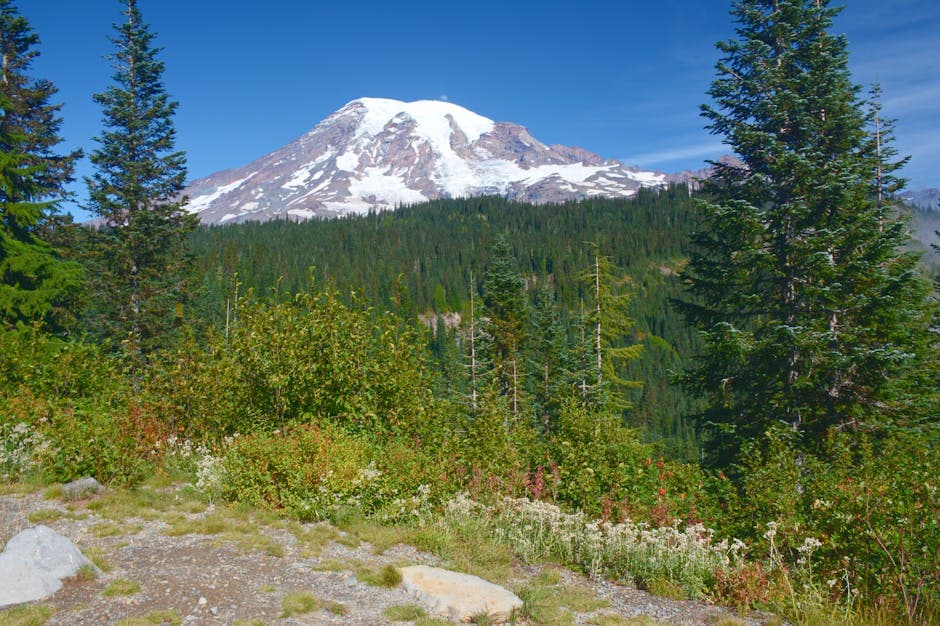 Washington — Washington Mount Rainier