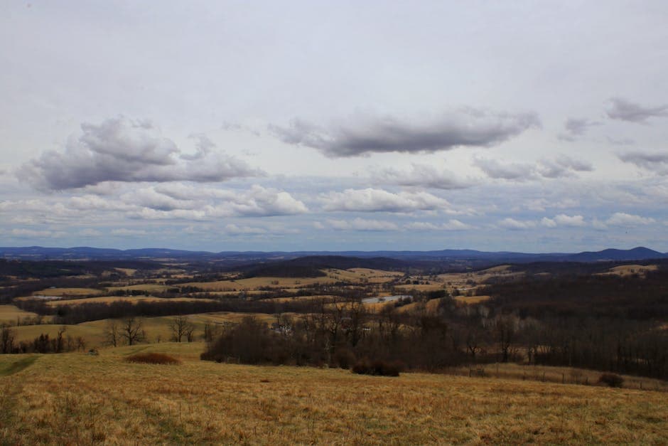 Virginia — Virginia Monticello