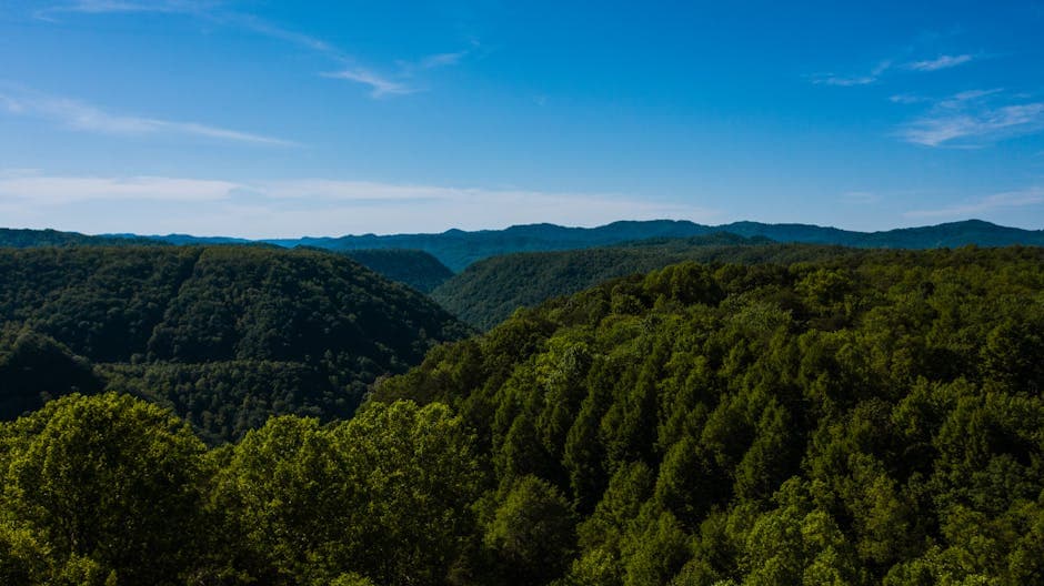 West Virginia — West Virginia mountains forest