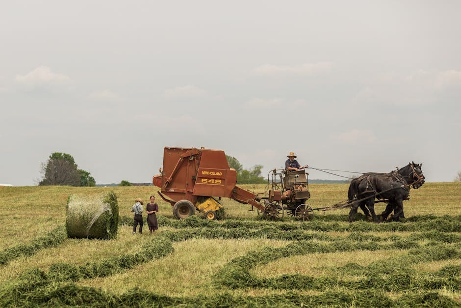 Pennsylvania — Pennsylvania Amish countryside