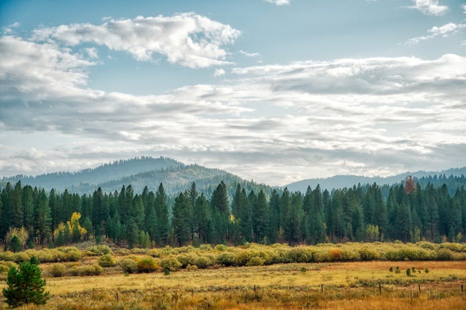 Idaho — Idaho mountains landscape