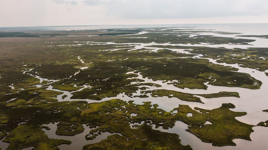 Mississippi — Mississippi river delta